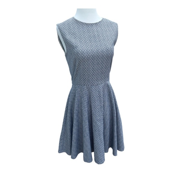 Diane Von Furstenberg Dresses & Skirts - Diane Von Furstenberg shift dress Fit and flare Sz 4 blue white business casual